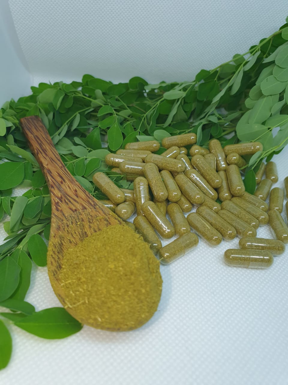 PREMIUM 12 PACK BUNDLE | 720 MORINGA VEGAN CAPSULES