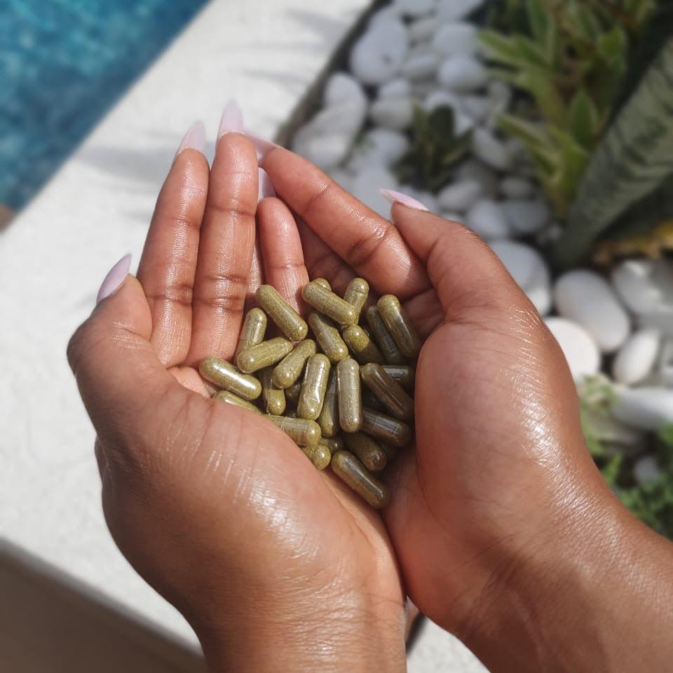 PREMIUM 12 PACK BUNDLE | 720 MORINGA VEGAN CAPSULES
